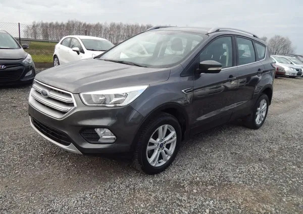 ford kuga podkarpackie Ford Kuga cena 54900 przebieg: 242000, rok produkcji 2018 z Głuszyca